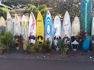 Welches ist das schönste?